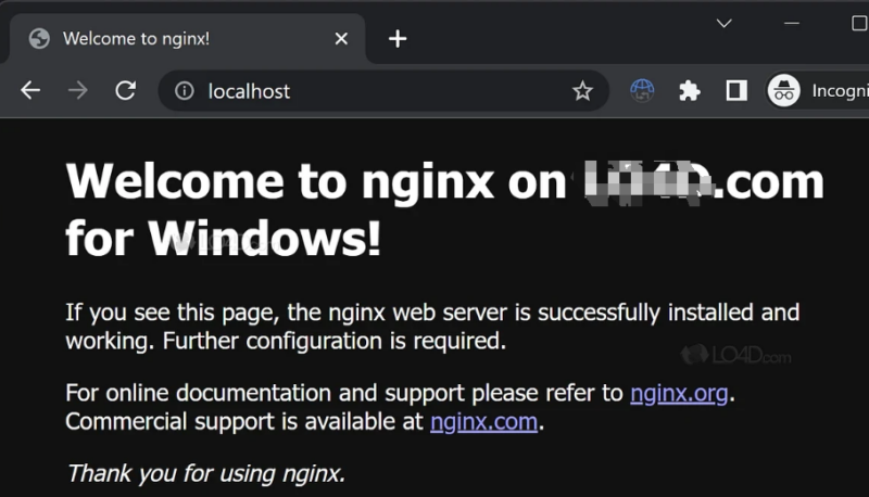 适用于 Windows 的 Nginx web服务器-oserp